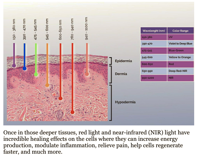 red light contouring at infuzed